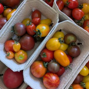 Cocktailtomaten-Mix
