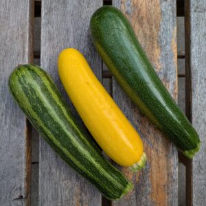 Zucchini