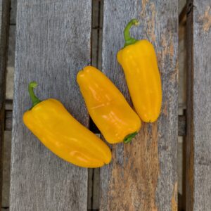 Snack-Paprika
