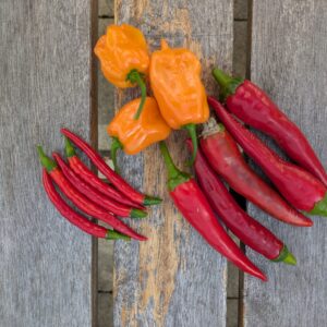 Chili-Mix